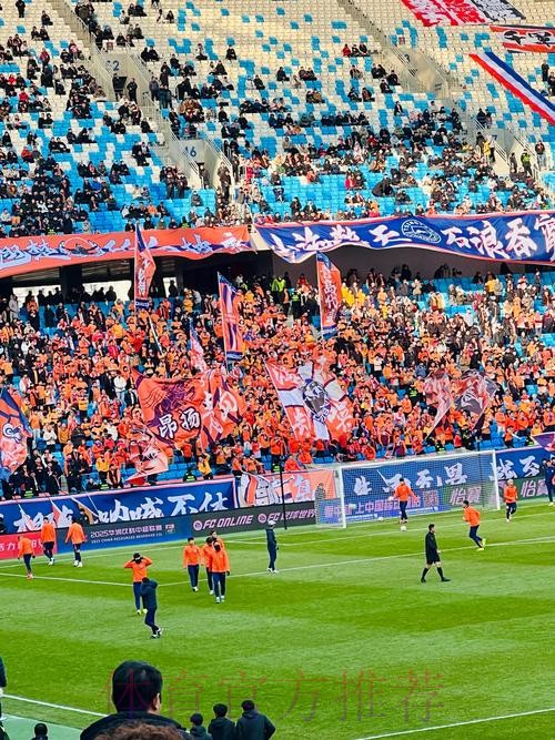 精彩呈现世界杯足球直播盛宴