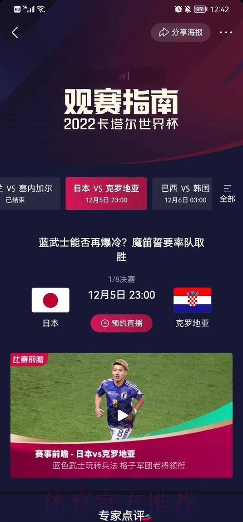 全面解析世界杯球队表现及数据统计